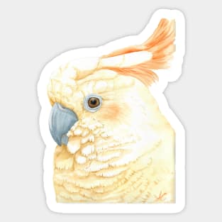 Watercolor citron-crested cockatoo portrait - Exotic painting Sticker